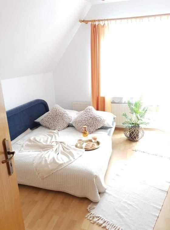Apartament Dominik 자코파네 외부 사진