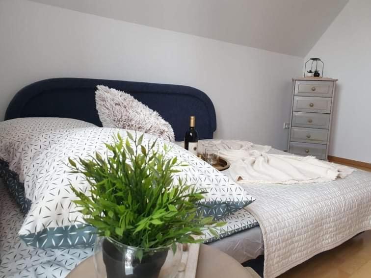 Apartament Dominik 자코파네 외부 사진
